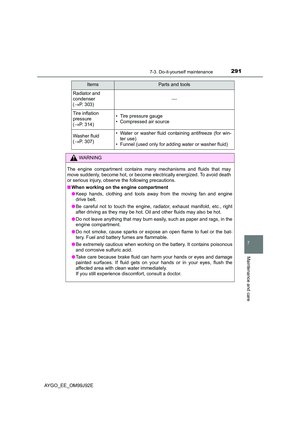 Page 291