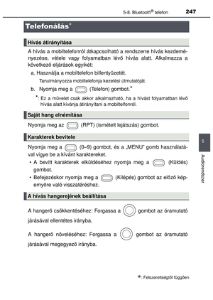 Page 247