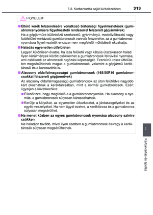 Page 313