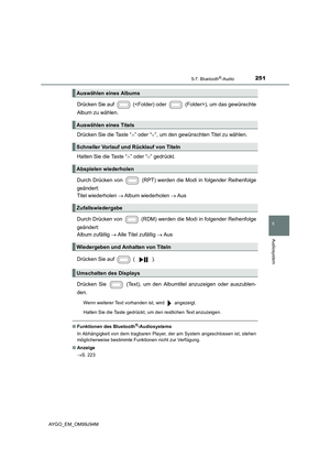 Page 251