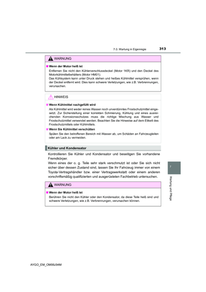 Page 313