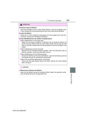 Page 317