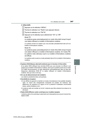 Page 247