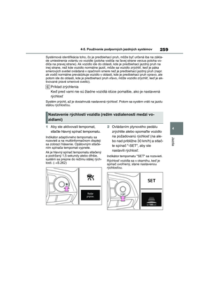 Page 261