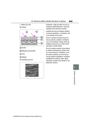 Page 251