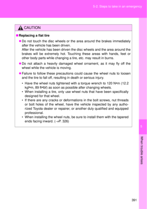 Page 391