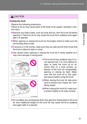 Page 61