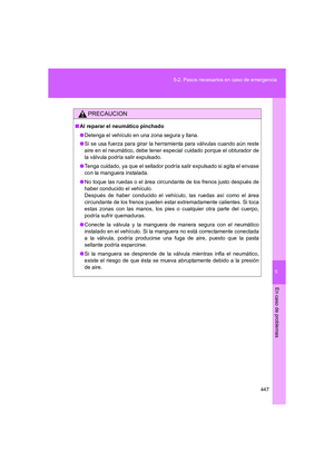 Page 447