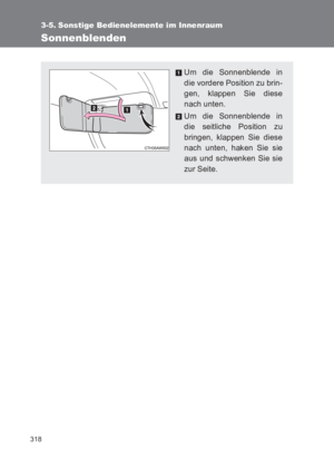 Page 318