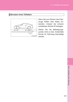 Page 423