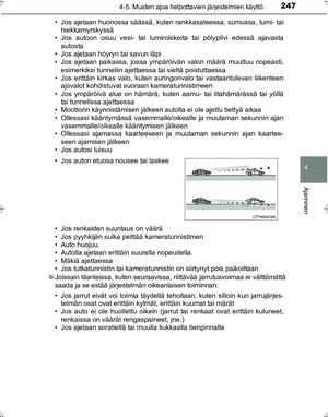 Page 247