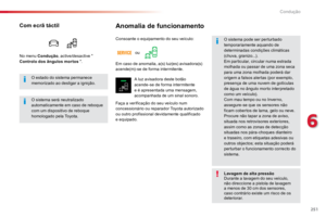 Page 251