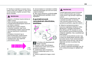Page 239