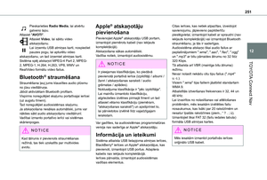 Page 251