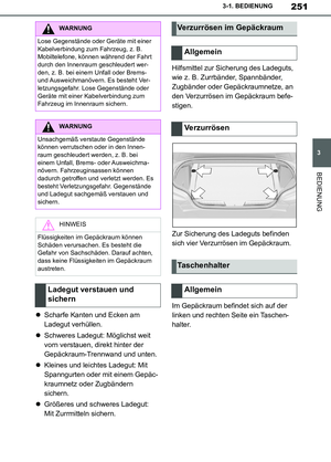 Page 251
