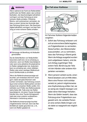 Page 319