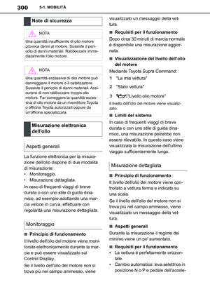 Page 300