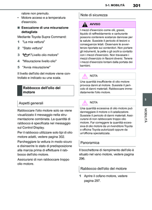 Page 301