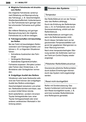 Page 300