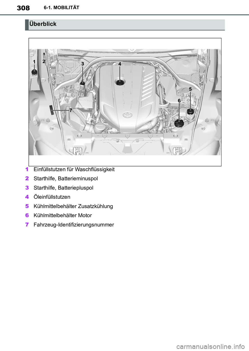 TOYOTA SUPRA 2020  Betriebsanleitungen (in German) 308
Supra Owners Manual_EM
6-1. MOBILITÄT
1Einfüllstutzen für Waschflüssigkeit
2Starthilfe, Batterieminuspol
3Starthilfe, Batteriepluspol
4Öleinfüllstutzen
5Kühlmittelbehälter Zusatzkühlung
