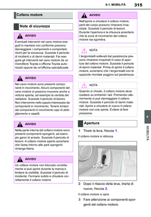 Page 315