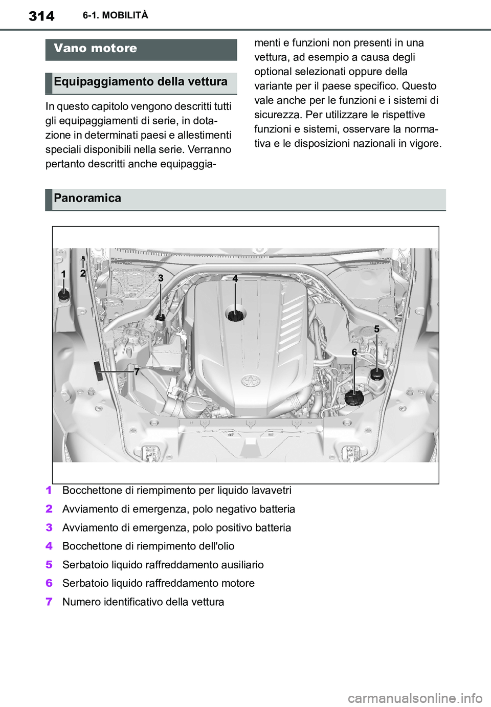 TOYOTA SUPRA 2020  Manuale duso (in Italian) 314
Supra Owners Manual
6-1. MOBILITÀ
In questo capitolo vengono descritti tutti 
gli equipaggiamenti di serie, in dota-
zione in determinati paesi e allestimenti 
speciali disponibili nella serie. 
