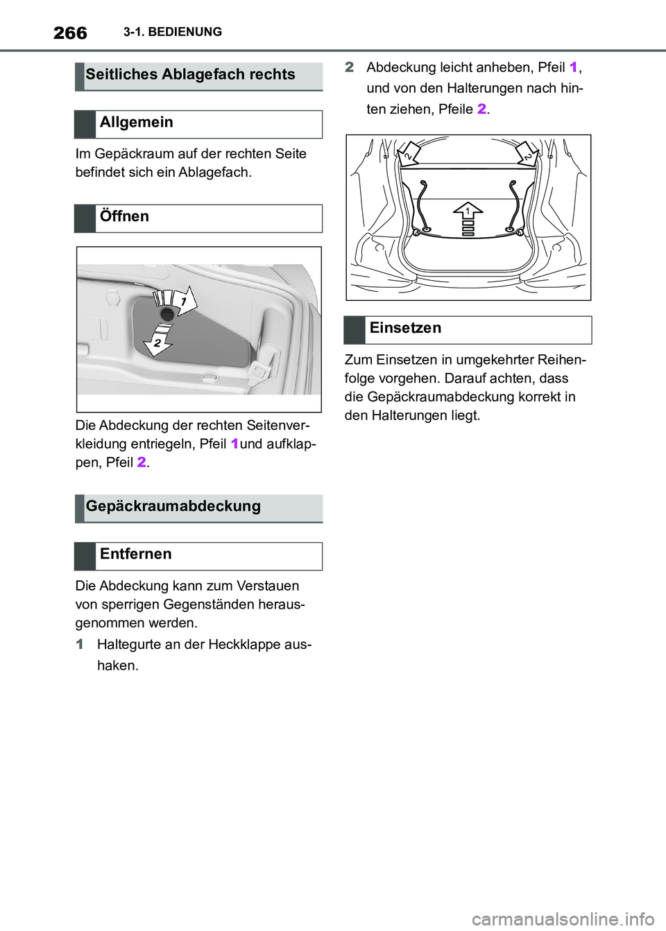 TOYOTA SUPRA 2021  Betriebsanleitungen (in German) 2663-1. BEDIENUNG
Supra Owners Manual_M (from Nov. 20 Prod.)Im Gepäckraum auf der rechten Seite 
befindet sich ein Ablagefach.
Die Abdeckung der rechten Seitenver-
kleidung entriegeln, Pfeil 1und a