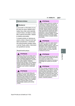 Page 317