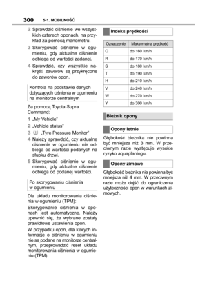 Page 300
