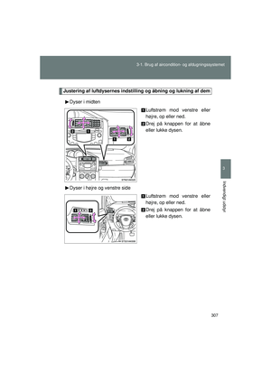 Page 307