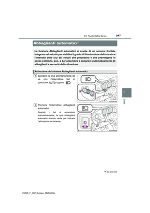 Page 247