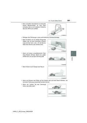 Page 301