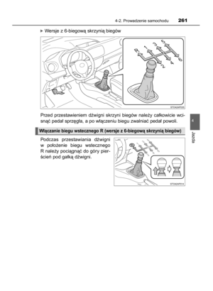 Page 261