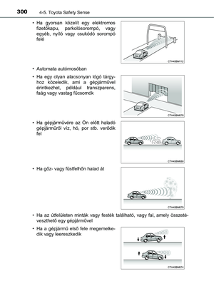 Page 300