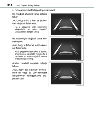Page 310