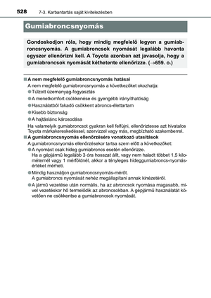 Page 528
