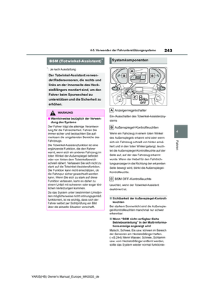 Page 243