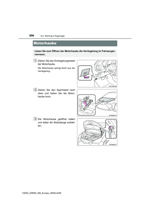 Page 256