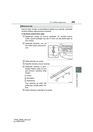 Page 259