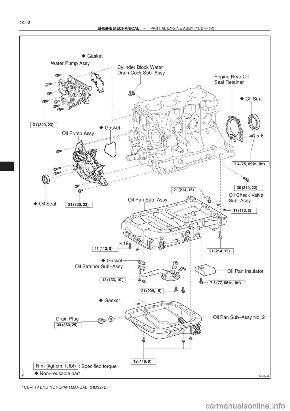 TOYOTA COROLLA VERSO 2004  Service Repair Manual A62603
Engine Rear Oil 
Seal Retainer
Oil Check Valve 
Sub±Assy
Cylinder Block Water 
Drain Cock Sub±Assy
31 (320, 23)
Water Pump Assy
21 (209, 15)
 Gasket  Gasket
x 6
 Gasket
 Oil Seal
Oil Pump