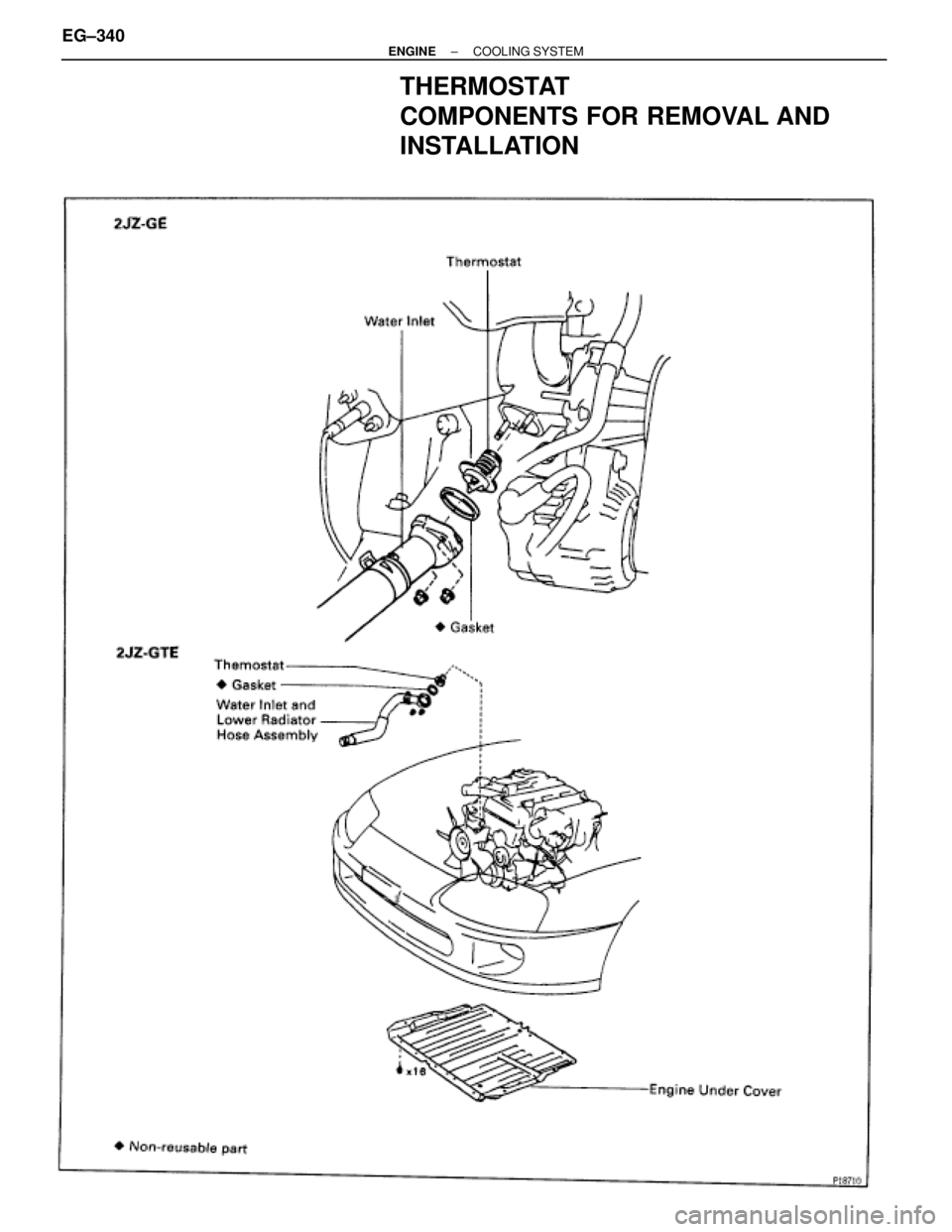 TOYOTA SUPRA 1995  Service Repair Manual THERMOSTAT
COMPONENTS FOR REMOVAL AND
INSTALLATION
EG±340± ENGINECOOLING SYSTEM 