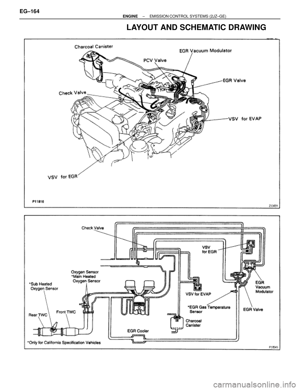 TOYOTA SUPRA 1995  Service Repair Manual LAYOUT AND SCHEMATIC DRAWING
EG±164± ENGINEEMISSION CONTROL SYSTEMS (2JZ±GE) 