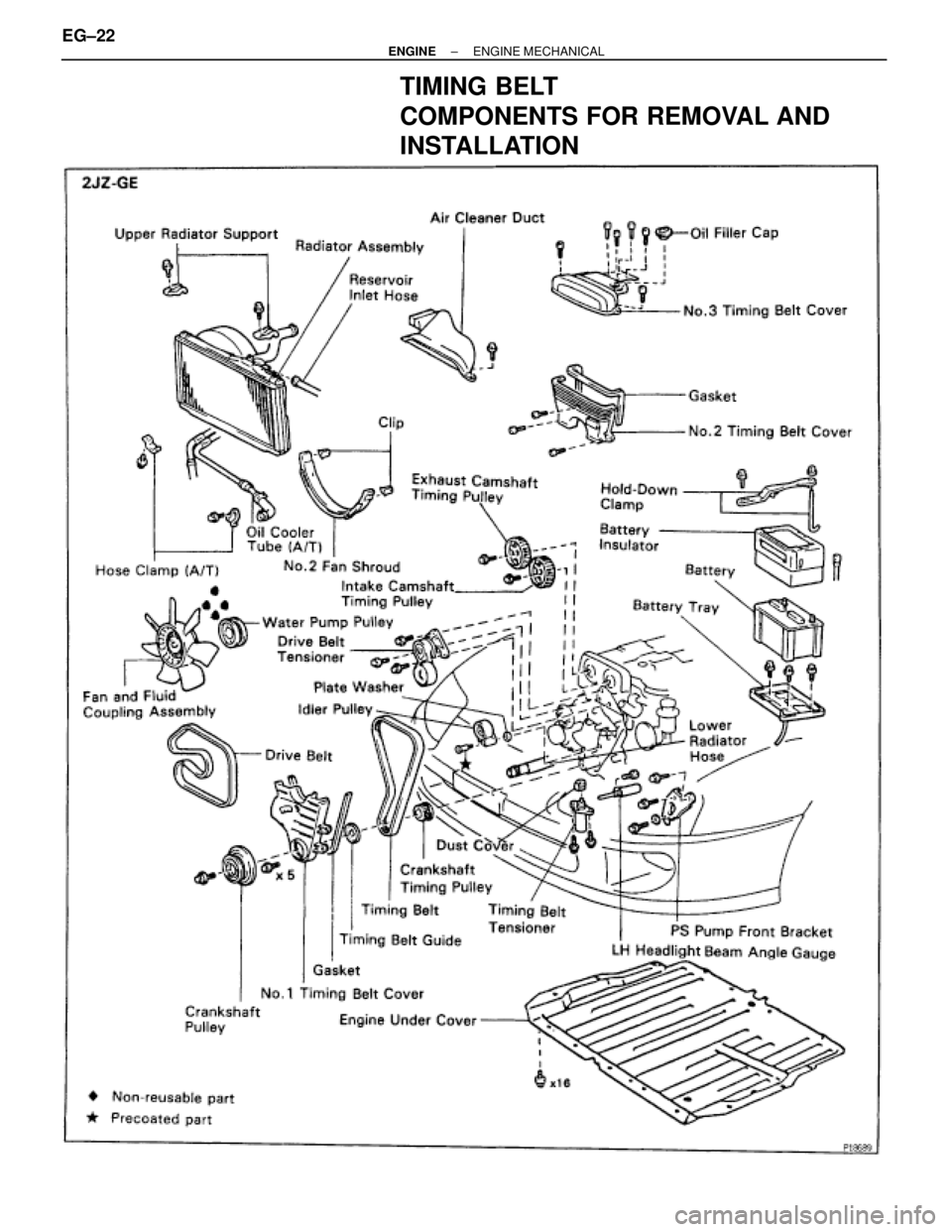 TOYOTA SUPRA 1995  Service Repair Manual TIMING BELT
COMPONENTS FOR REMOVAL AND
INSTALLATION
EG±22± ENGINEENGINE MECHANICAL 