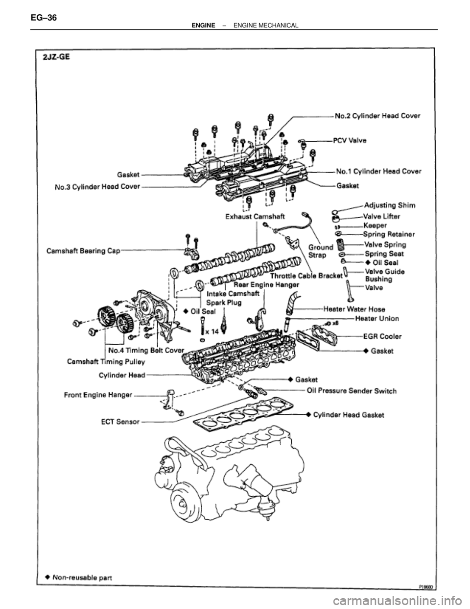 TOYOTA SUPRA 1995  Service Repair Manual EG±36± ENGINEENGINE MECHANICAL 