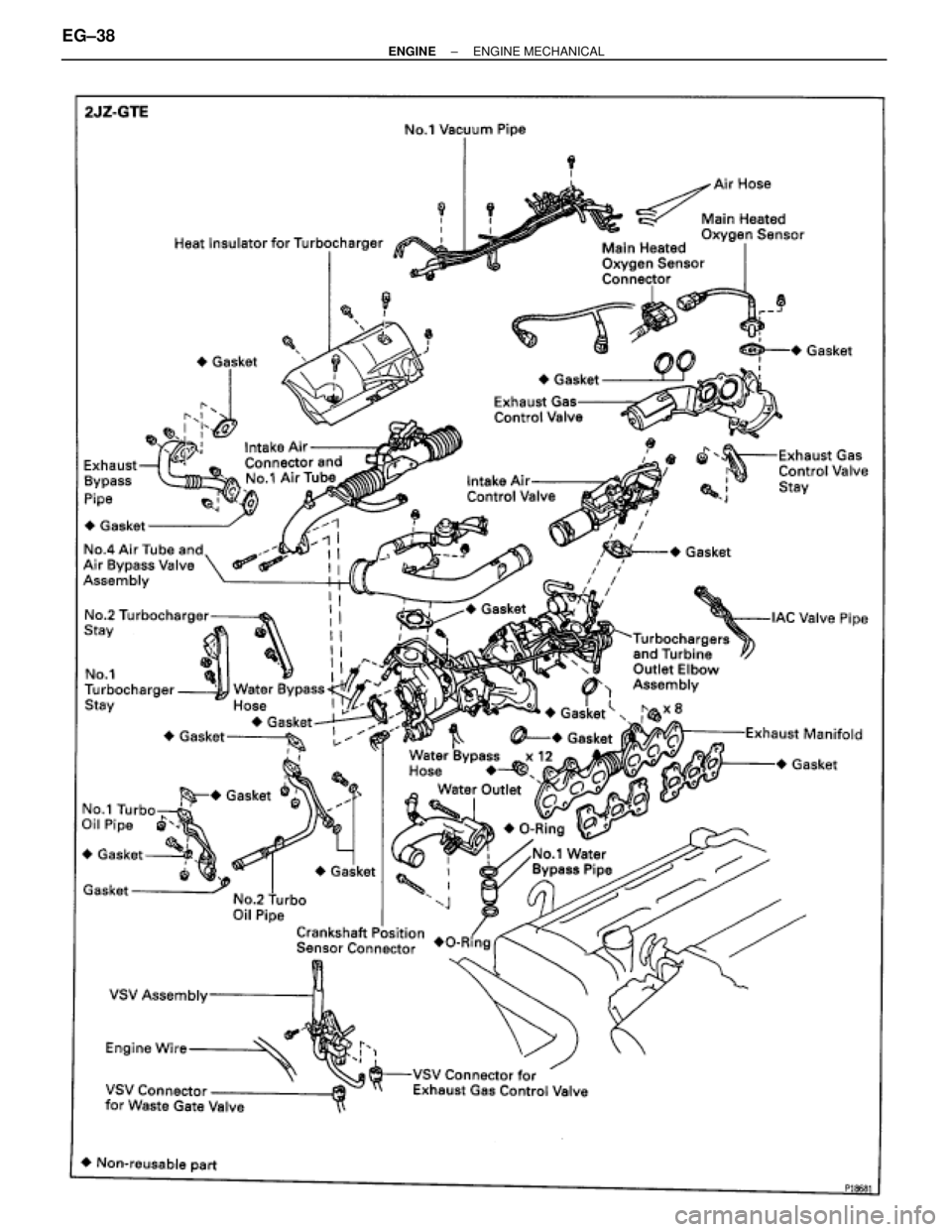 TOYOTA SUPRA 1995  Service Repair Manual EG±38± ENGINEENGINE MECHANICAL 