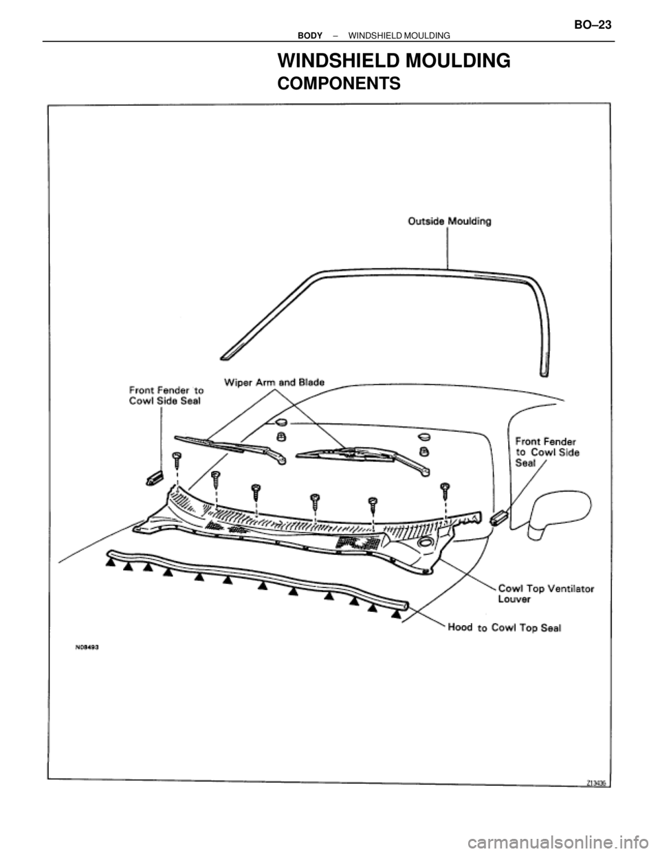 TOYOTA SUPRA 1995  Service Repair Manual WINDSHIELD MOULDING
COMPONENTS
± BODYWINDSHIELD MOULDINGBO±23 