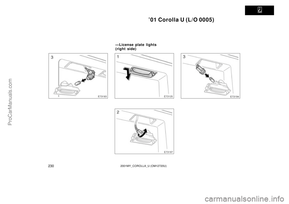 TOYOTA COROLLA 2001  Owners Manual   
01 Corolla U (L/O 0005)
2302001MY_COROLLA_U (OM12720U)
ÐLicense plate lights 
(right side)
ProCarManuals.com 