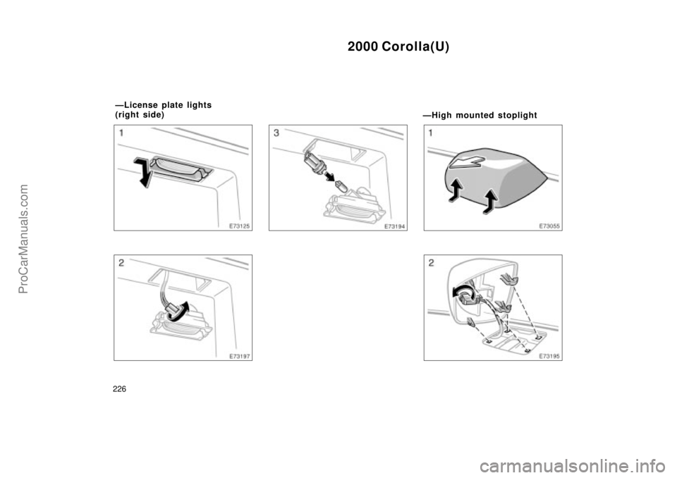 TOYOTA COROLLA 2000  Owners Manual 2000 Corolla(U)
226
ÐHigh mounted stoplight
ÐLicense plate lights 
(right side)
ProCarManuals.com 