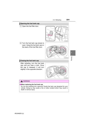 Page 231