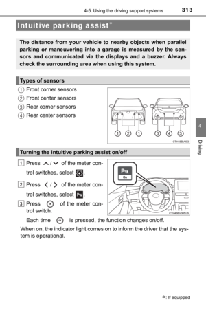 Page 313